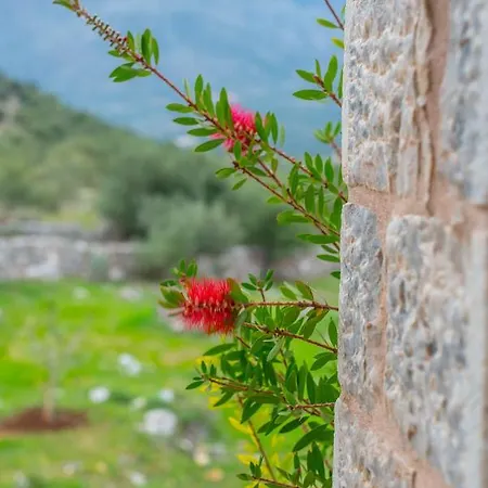 Dimitra - Mani , Traditional Archontiko *