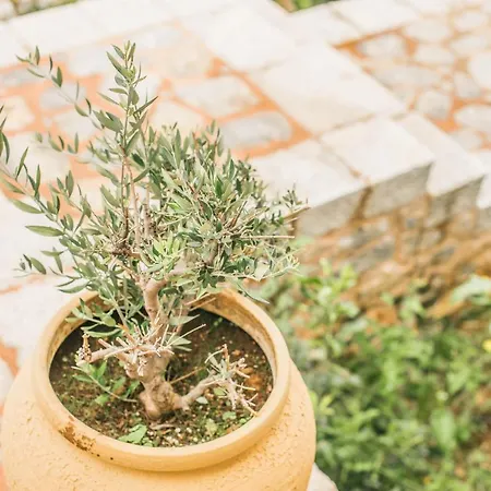 Dimitra - Mani , Traditional Archontiko *