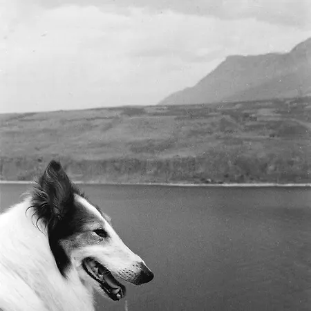 Dimitra - Mani , Traditional Archontiko بيت للعطل *