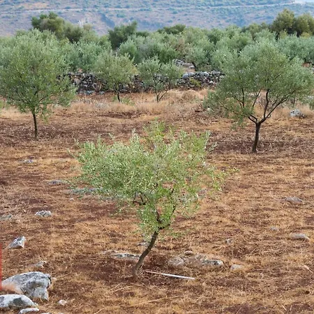 Dimitra - Mani , Traditional Archontiko 別荘 Diros