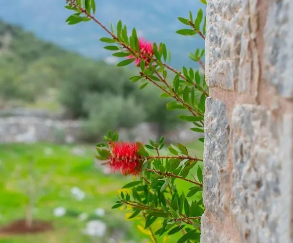 Dimitra - Mani , Traditional Archontiko *