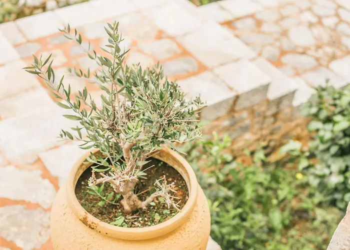 Dimitra - Mani , Traditional Archontiko *