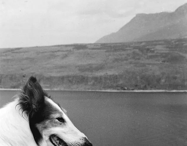 Dimitra - Mani , Traditional Archontiko Casa de Férias *